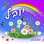 עיצוב 15