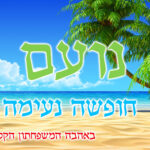 עיצוב 12