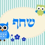 עיצוב 7